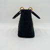 Le Lady Dior