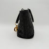 Le Lady Dior